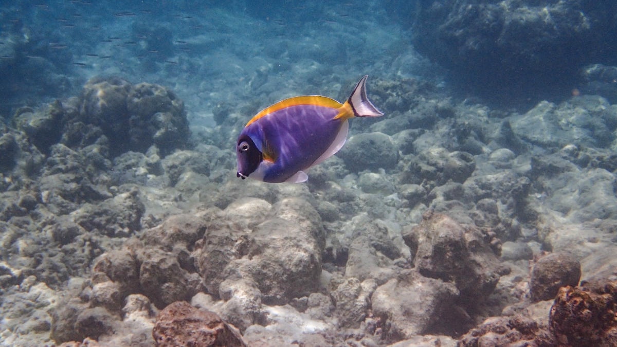 IMG_6257.jpg