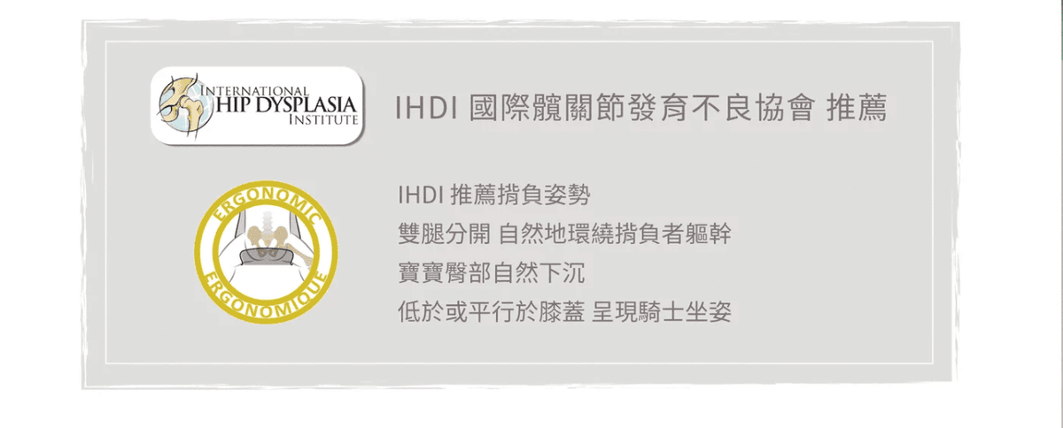 髖關節防護.png