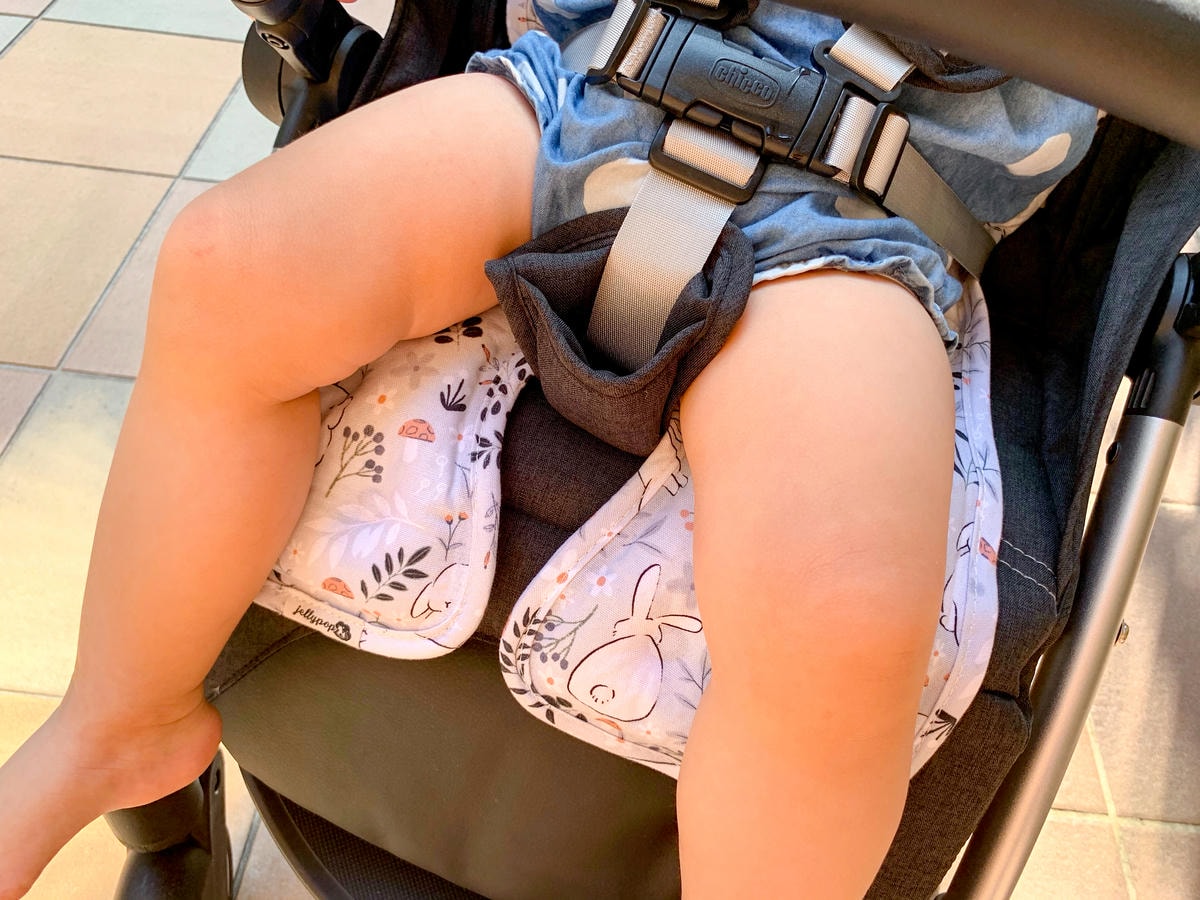 jellyseat-6964.JPG jellyseat-6964.JPG