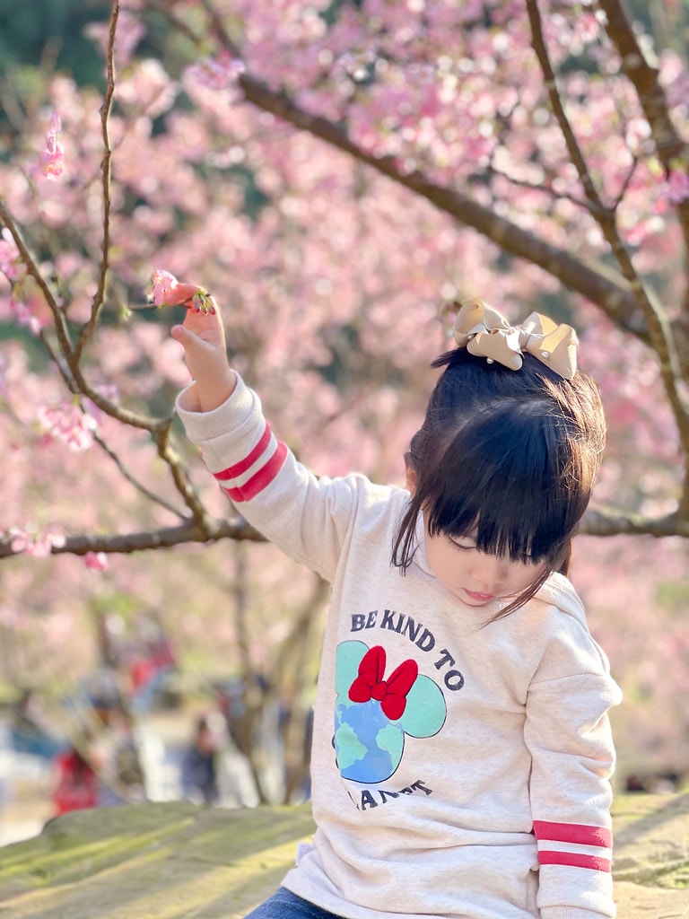 bownita-1222
