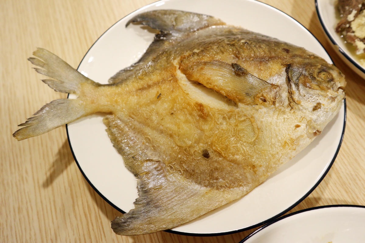 【孕期保健】懷孕初期、中期營養補充、飲食紀錄均衡攝取聰明吃
