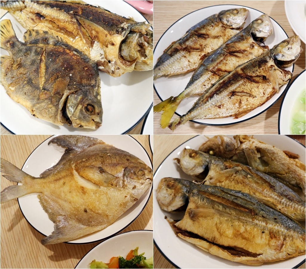 各種魚.jpg