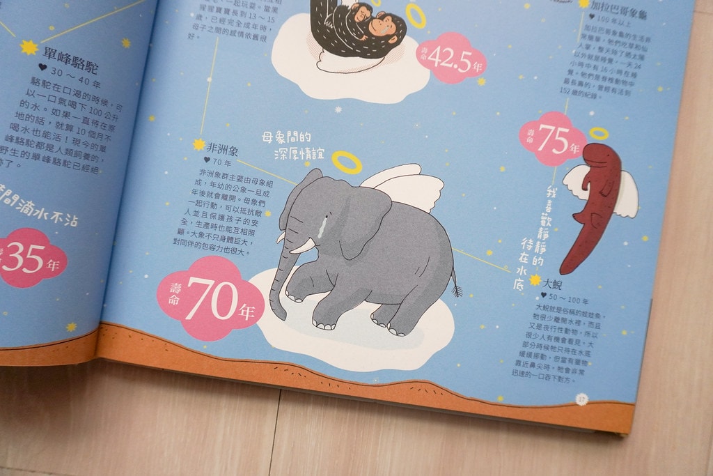【育兒】(新增2024暢銷新書)上誼 / 信誼出版社 0-8 上誼-02828