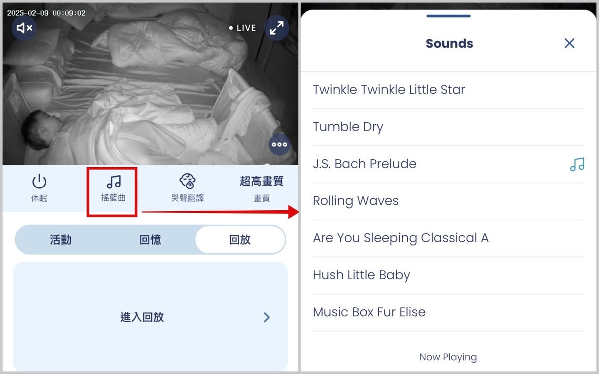 搖籃曲.jpg